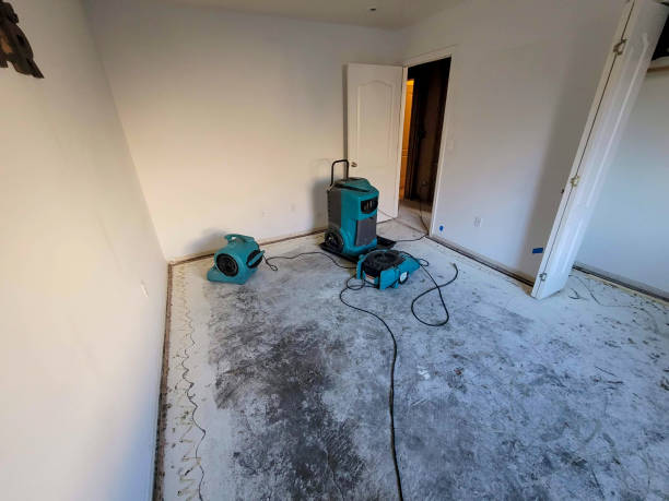 Best Carpet water damage restoration  in Stanford, KY
